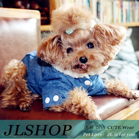 Áo khoác denim thiết kế thời trang cho thú cưng a2905