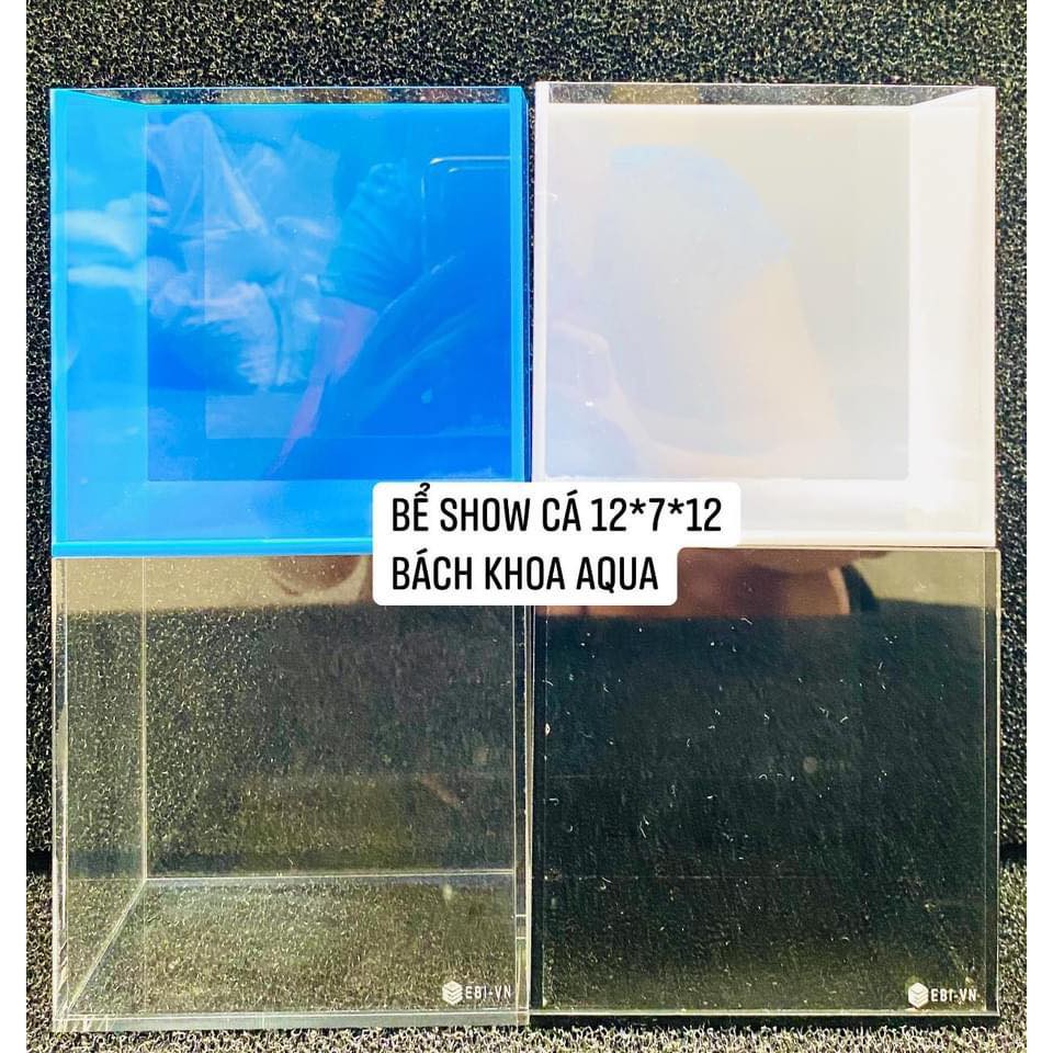 Bể cá mini Acrylic - 12*7*12 mặt trước siêu trong