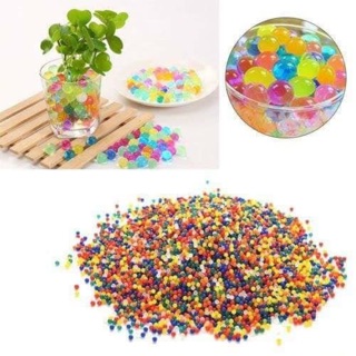 Combo 100 gói hạt nở nhật bản