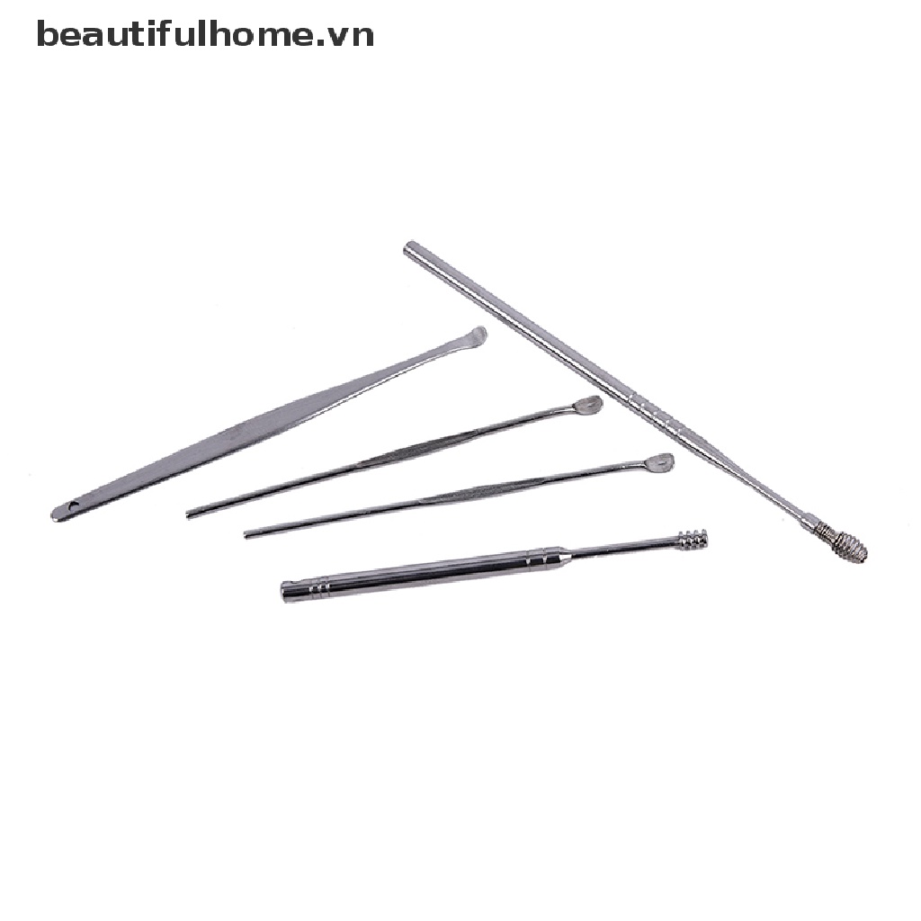(Hàng Mới Về) Bộ 5 Dụng Cụ Lấy Ráy Tai Tiện Lợi