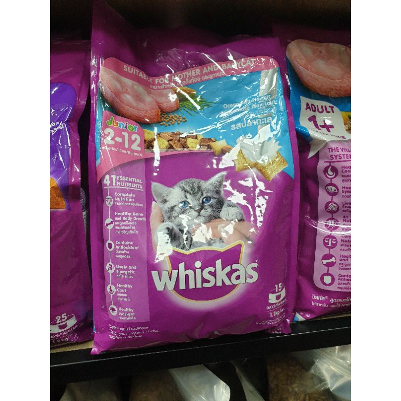 Hạt Whiskas cho mèo từ 2-12 tháng