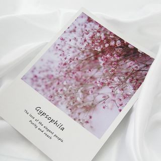 Tấm bìa chụp ảnh