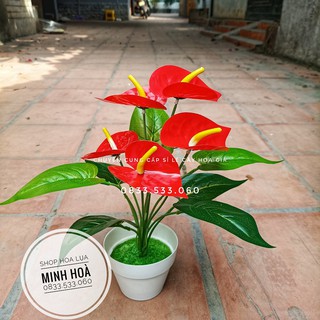 Cây hoa giả - Cây Hồng Môn Đỏ 5 bông, cao 35cm - Chậu cây để bàn trang trí nhà cửa, văn phòng