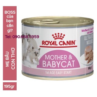 Pate cho mèo con & mèo mẹ Royal Canin Mother & BabyCat 195g