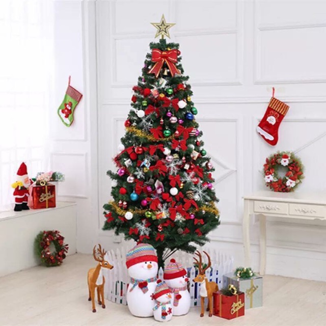 Cây thông Noel