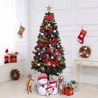 Cây thông Noel