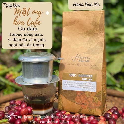 [Mã GROSALE giảm 10% đơn 150K] Cà phê nguyên chất, cà phê Robusta, Đắk Lắk, đậm đà hậu ngọt, cà phê rang xay, cà phê hạt