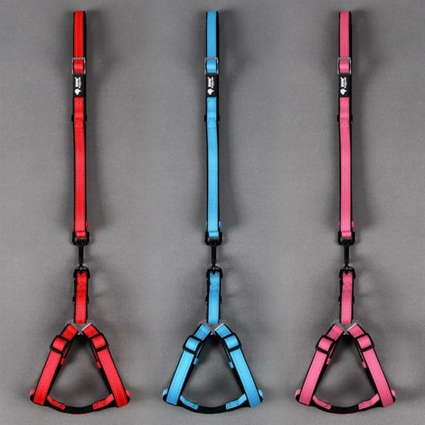 DÂY ĐAI NGỰC VIỀN ĐEN CHO THÚ CƯNG