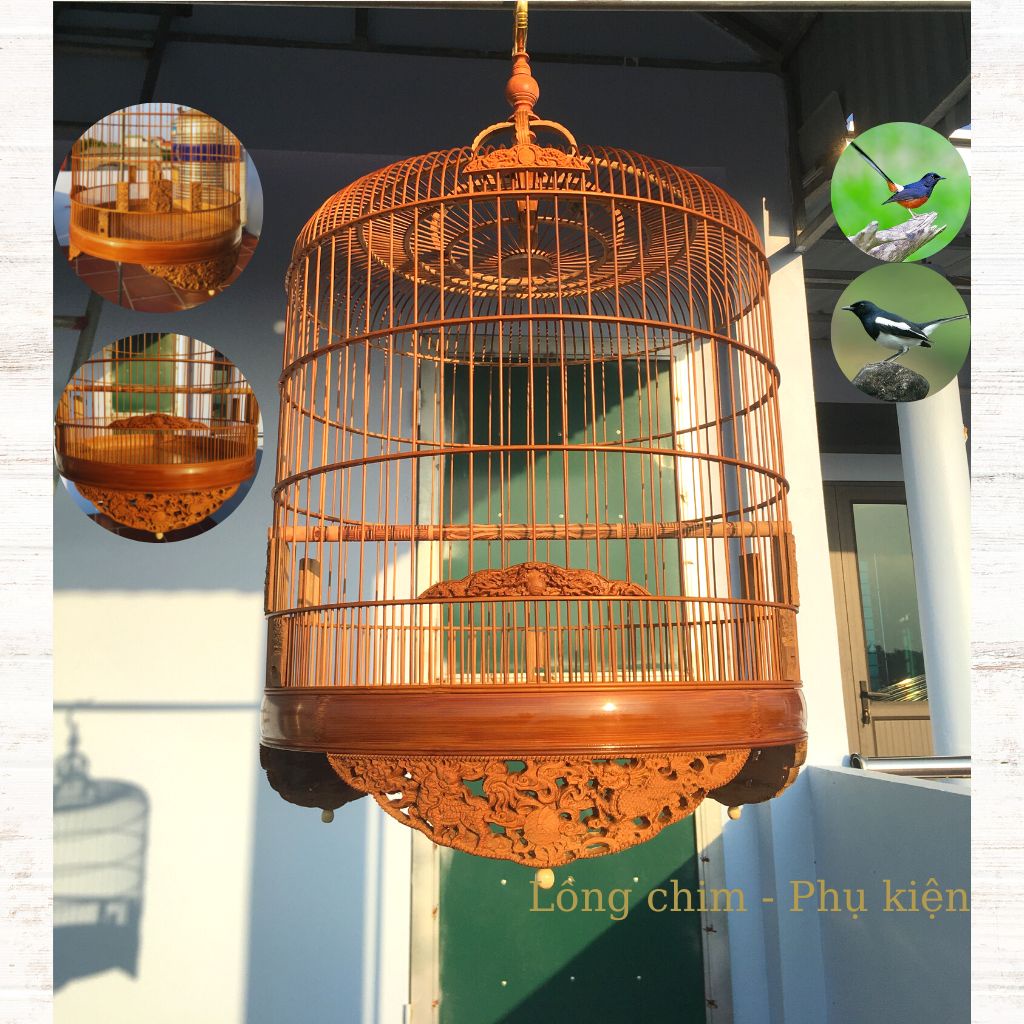 Lồng chim Chòe, Lồng chim Chòe trúc già họa tiết đẹp