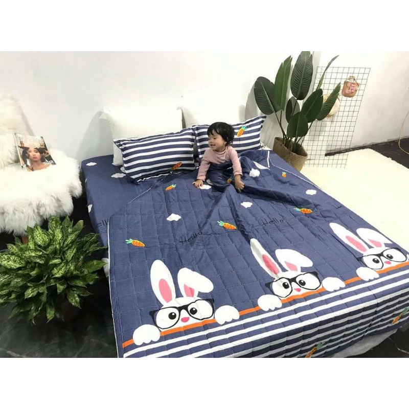 Bộ chăn ga gối hè 5 món cotton poly hàn quốc