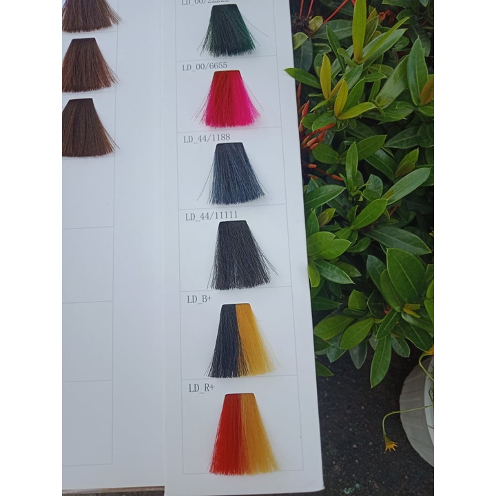 Bảng Màu Thuốc Nhuộm LDMAX