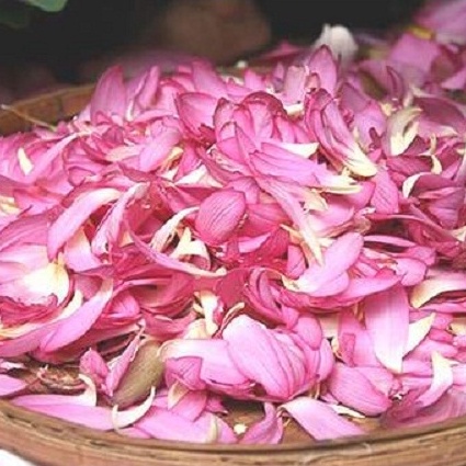 10ml Tinh Chất Xông Mặt Cánh Hoa Sen Cho Da Tái Tạo, Dưỡng Trắng