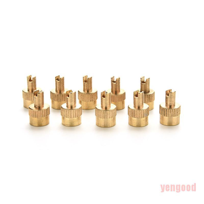 Set 10 nắp van hơi kim loại đầu có chức năng tháo lõi van