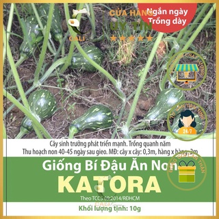 Hạt giống Bí Đậu Ăn Non KATORA 1gr