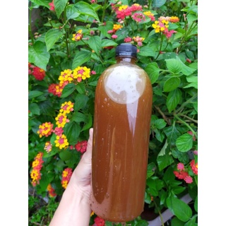 Mật ong đá rừng Lai Châu
