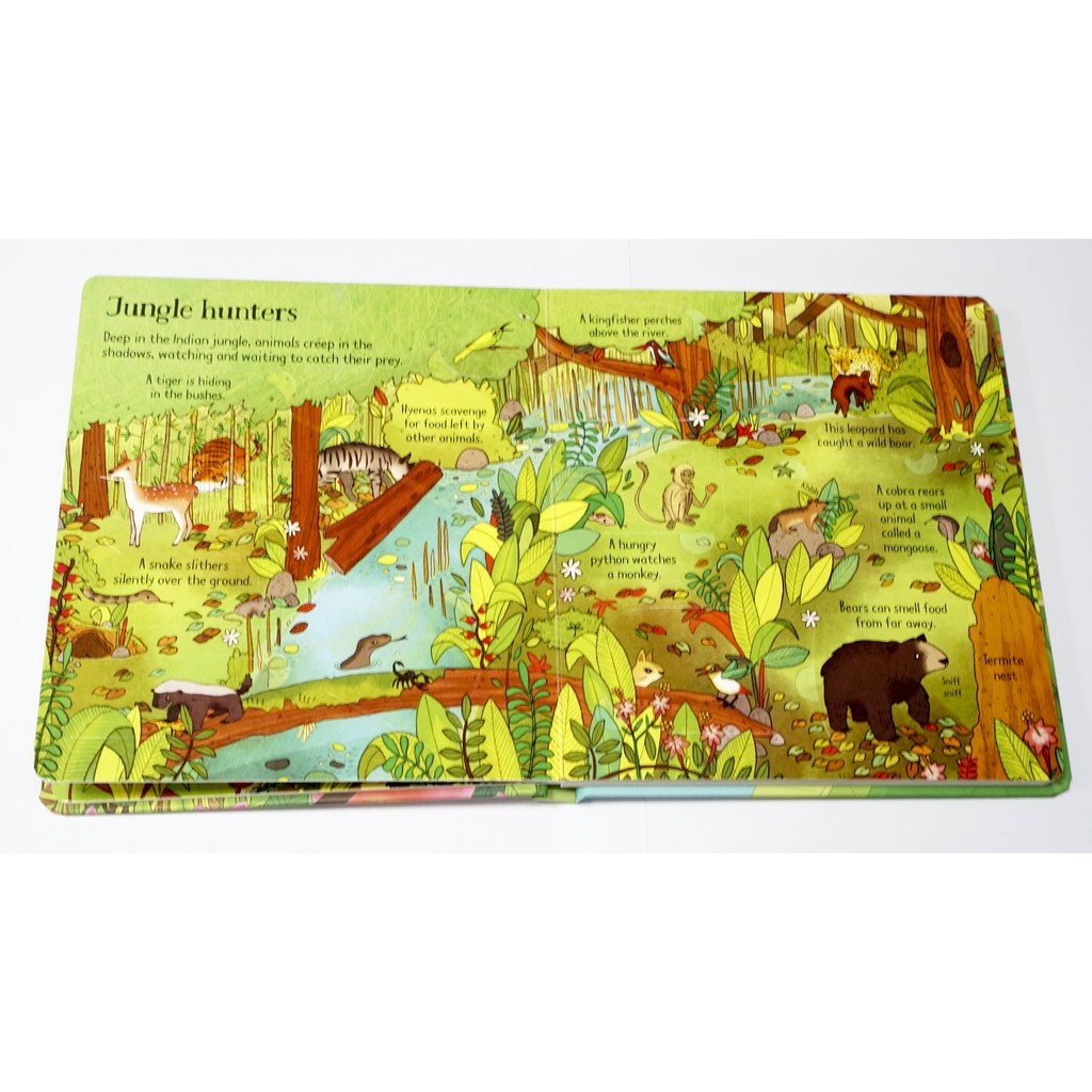 Sách - Look Inside Jungle Usborne - Tiếng Anh Lật Mở Bí Ẩn Khám Phá Khu Rừng Dành Cho Bé Tiểu Học