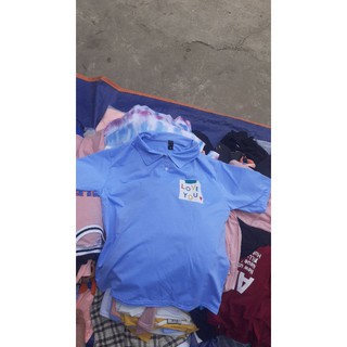 Áo polo cute chữ đáng yêu 50
