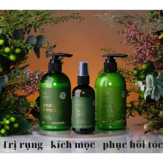 Combo Vijully Bộ Dầu Gội và Kem Xả và Tinh dầu bưởi Cao Cấp, Phục hồi tóc hư tổn, Ngăn ngừa rụng tóc.