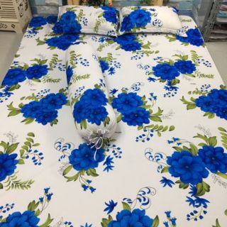 Drap thun hàn quốc