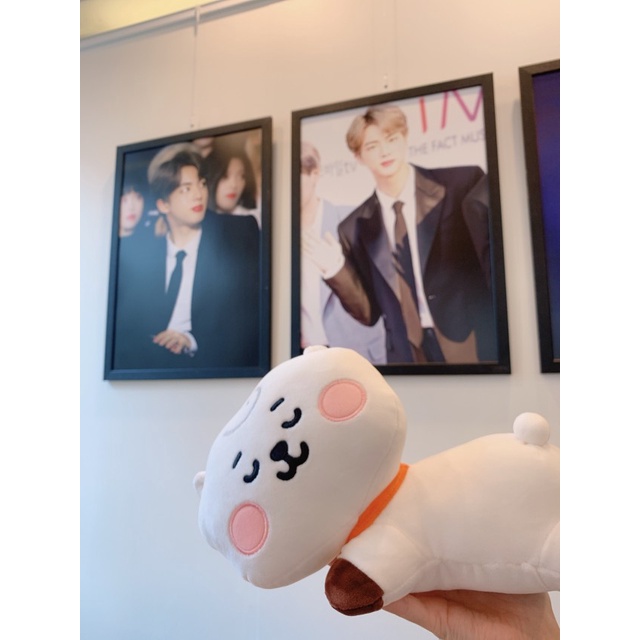 Gối mini mềm mại hình BTS BT21 dễ thương