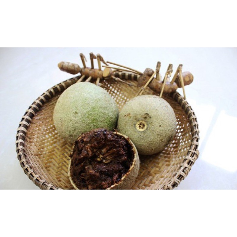 Trái quách (táo gỗ, quả sọ) 30/1kg