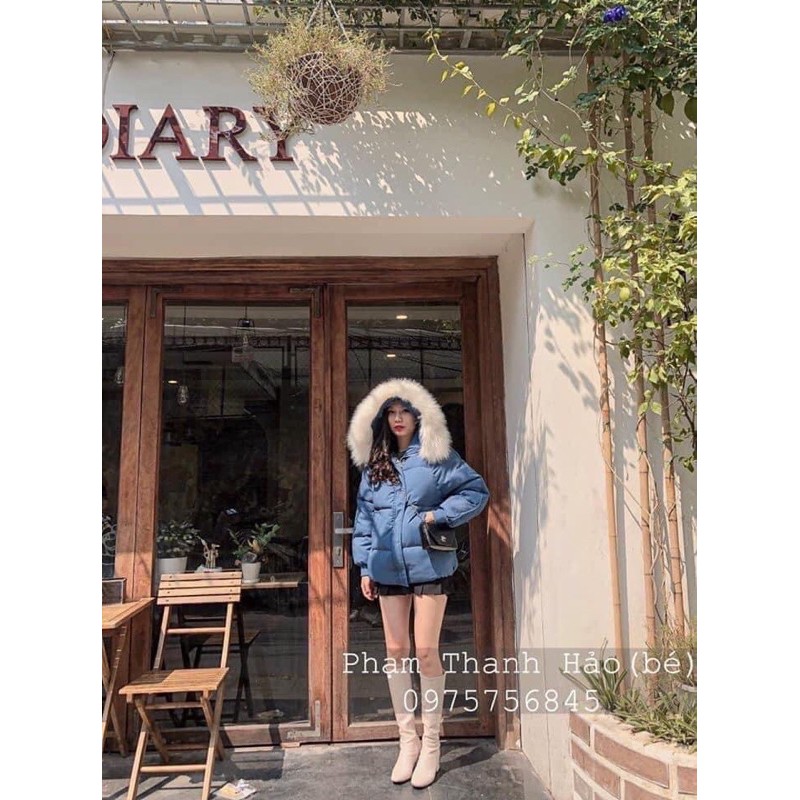 Áo phao đại hàn