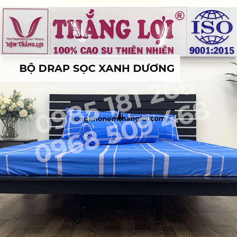 [Ảnh Thật] Sọc Xanh Dương - Bộ Drap Cotton 4 món Thắng Lợi Chính Hãng