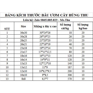 Set 1kg bịch bầu ươm cây các cỡ