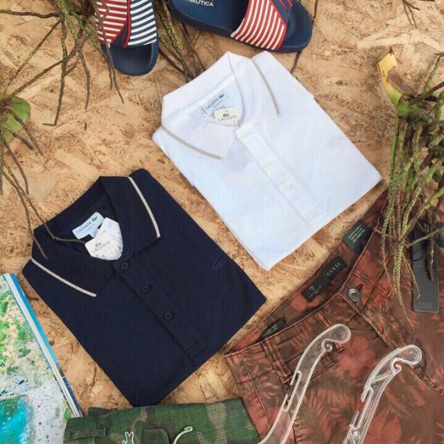 Áo lacoste vải thun cá sấu