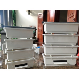 Lọc bể cá, hồ koi dàn baki giá rẻ