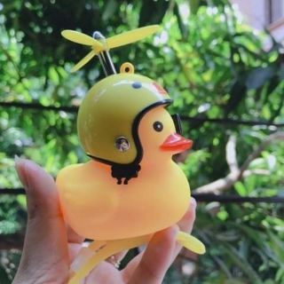 vịt đội nón bảo hiểm