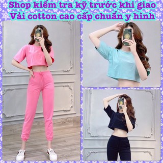 Quần Áo Thể Thao Nữ Thun Cotton Quần Dài Ống Bo Áo Lửng Mùa Hè - Ảnh Thật Kèm Video