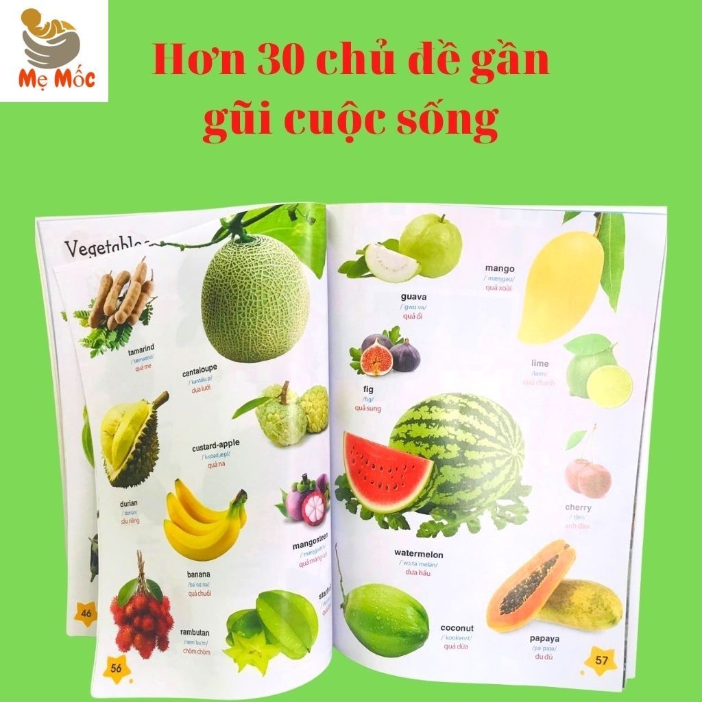 Bé Chinh Phục Tiếng Anh - Tư Duy Ngôn Ngữ -Ngoại Ngữ - Có  m Thanh Đọc Chuẩn, Hình Ảnh, Phụ Đề Rõ Ràng [Shop Mẹ Mốc]