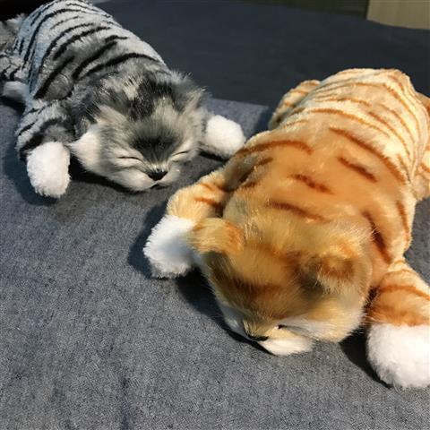 Đồ chơi cho mèo lật Búp bê mèo Douyin sẽ lật lại Mèo mô phỏng điện Mèo cười Quà tặng ngày thiếu nhi