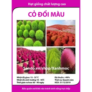 Hạt giống hoa Cây đổi màu tặng kích mầm