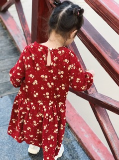 Váy Vintage dài tay cho bé