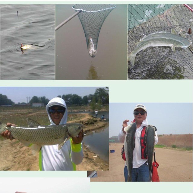 vợt vớt cá inox hãng GW dài 3m siêu bền y hình giá rẻ giảm giá sele y hình