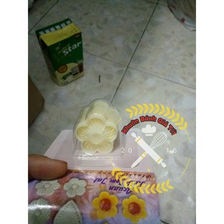khuôn bánh dứa