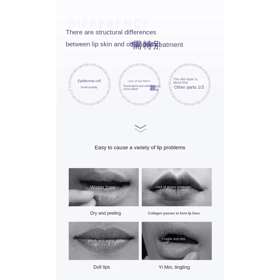 Son bóng FACIPHER Sửa chữa dưỡng ẩm lâu dài Dưỡng ẩm chăm sóc môi Tinh chất Lột da chết Làm mờ nếp nhăn trên môi