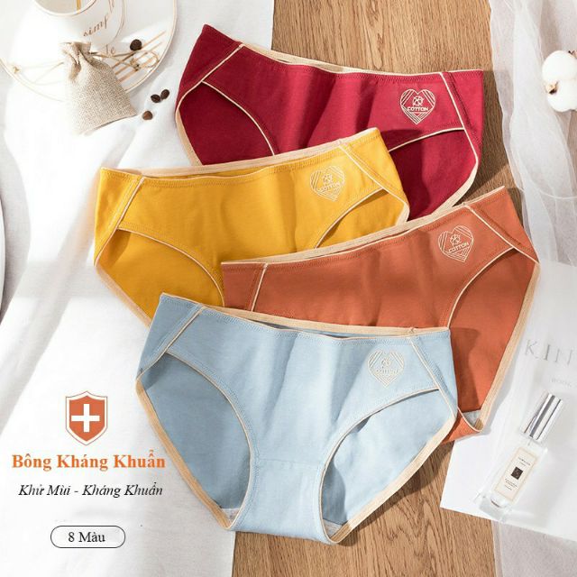 Quần Lót Cotton Sợi Bông Kháng Khuẩn Cao Cấp -CC01 (D)