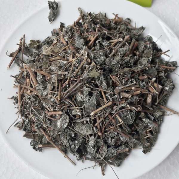 Chè Dây♻️Chuẩn Rừng Cao Bằng♻️Giảm Nỗi Lo Dạ Dày