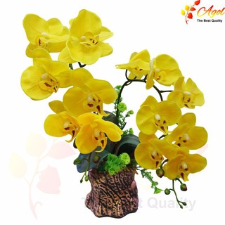 chậu lan giả cao cấp vàng