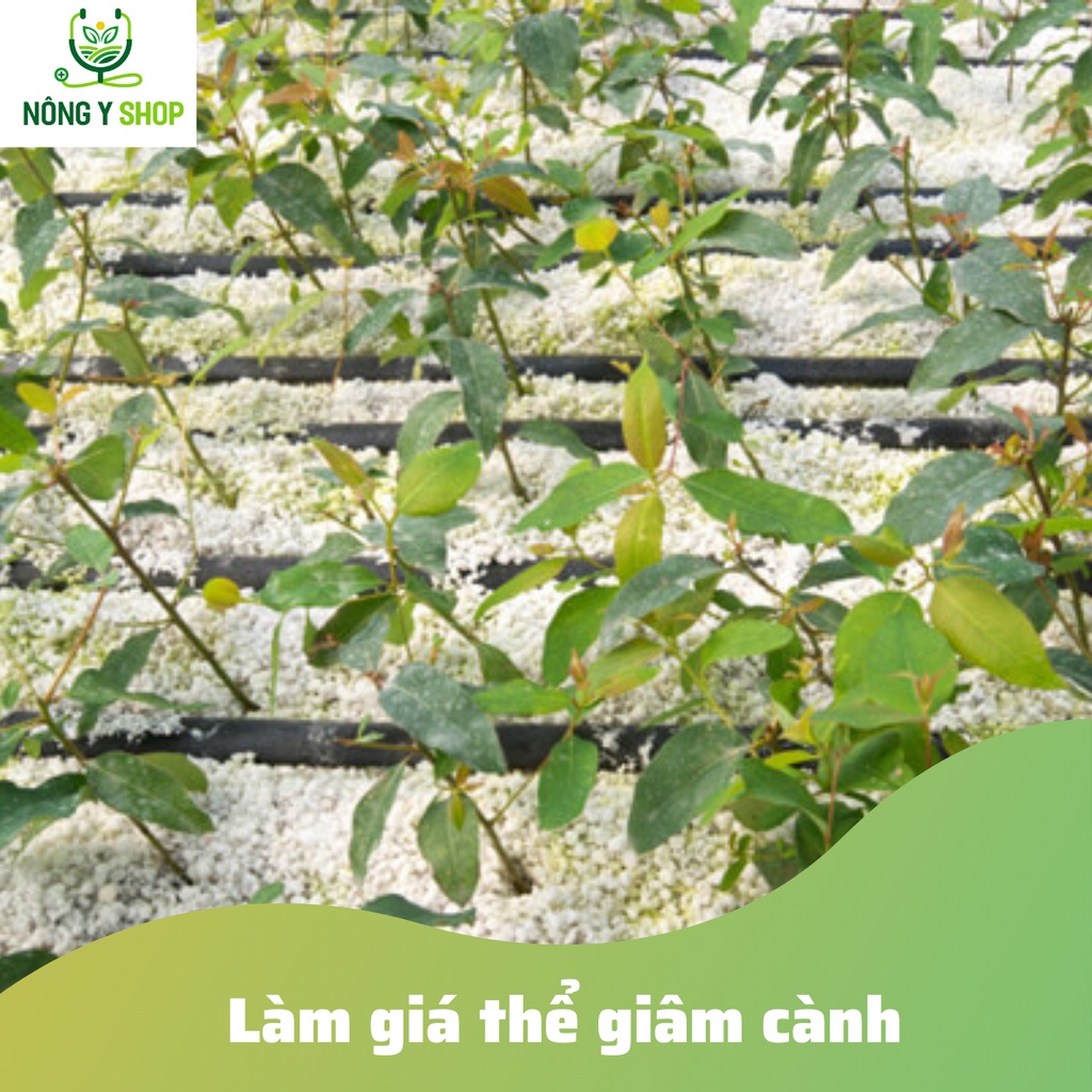 Đá perlite  Namix 5dm3 chuyên trồng thủy canh, phối trộn giá thể, sen đá, giàu khoáng chất, tăng độ tơi xốp
