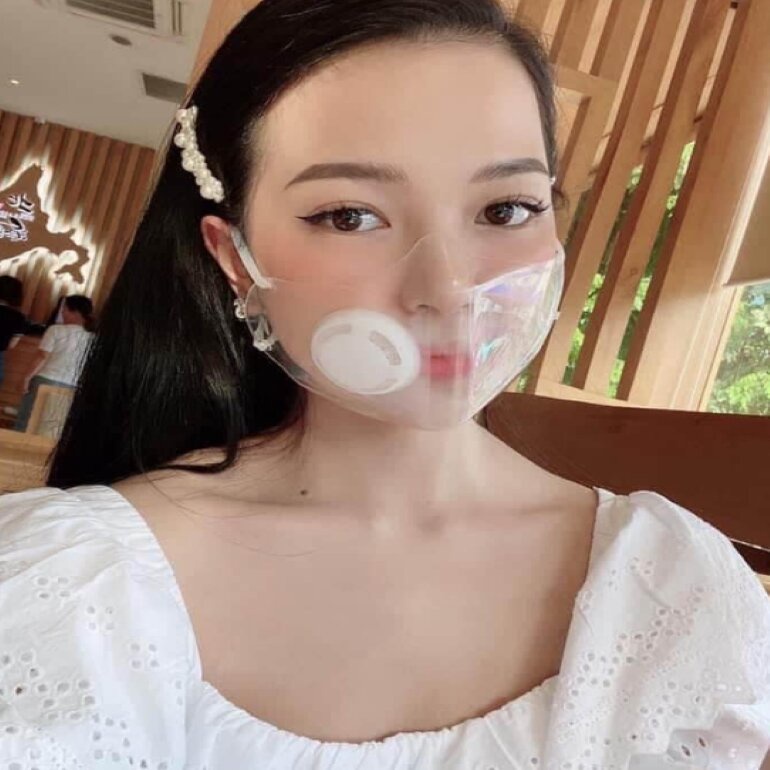 Combo sỉ 10 khẩu trang nhựa trong hàng Việt Nam xuất khẩu