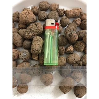 Sỏi nhẹ / đất sét nung/ giá thể trồng cây cảnh Size 1-2 cm ☘️ (ảnh thật)