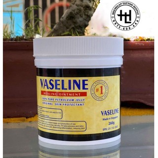 Vaseline hũ lớn giúp dưỡng ẩm làm mềm da cung cấp Elly Đặng hũ 500 gram