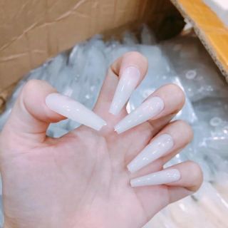 [SIÊU SALE] Móng Úp Fom Thang 520 Móng