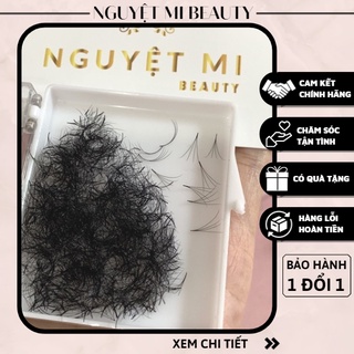 Mi fan sẵn 4D/1000 fan