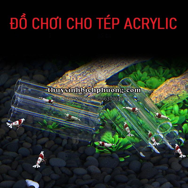 ĐỒ CHƠI TÉP ỐNG ACRYLIC 6 LỖ | TRONG SUỐT THẨM MỸ NHÀ Ở CHO TÉP KIỂNG