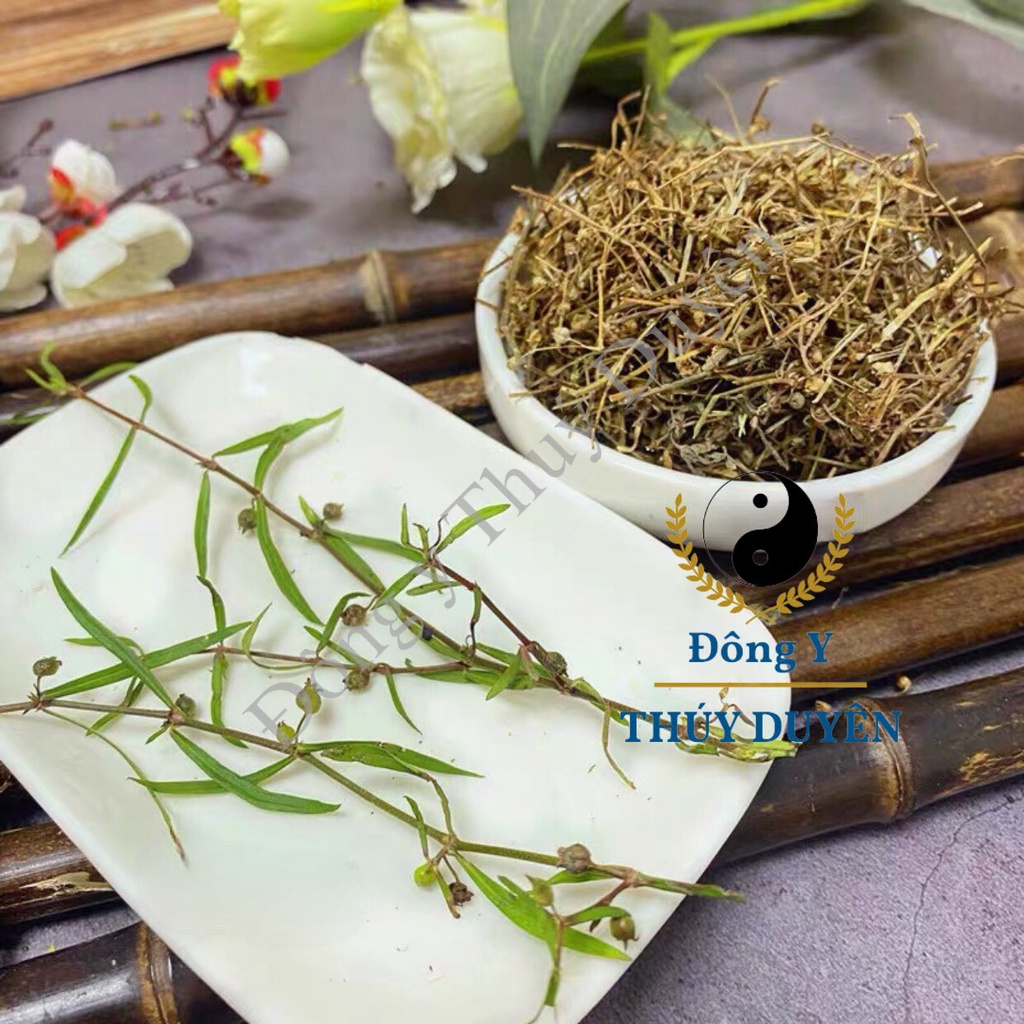 Bạch Hoa Xà 100g - 300g (Hàng chất lượng loại 1)
